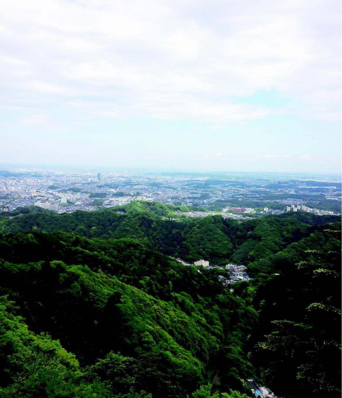 東京一極集中からの脱却に二地域居住がカギとなるかに注目が集まっている